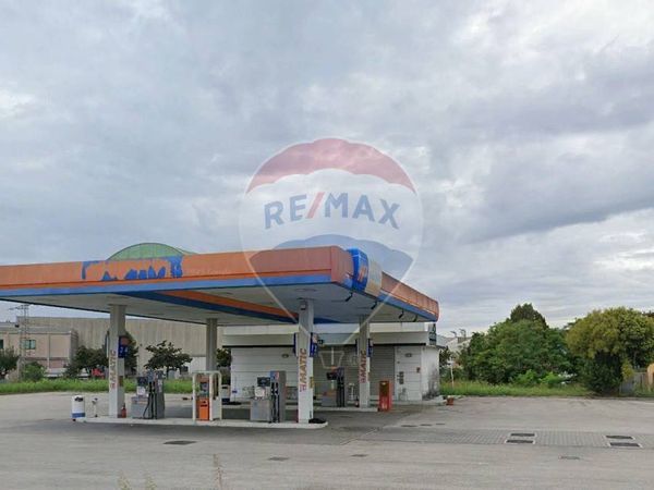 Bar Prodolone, San Vito al Tagliamento, PN Affitto - Foto 3