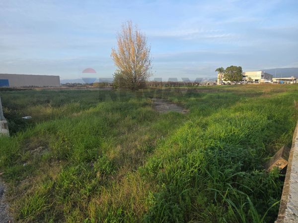 Terreno Industriale Borgo Flora, Cisterna di Latina, LT Vendita - Foto 3