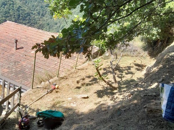 Casa Semindipendente Bargagli, GE Vendita - Foto 3