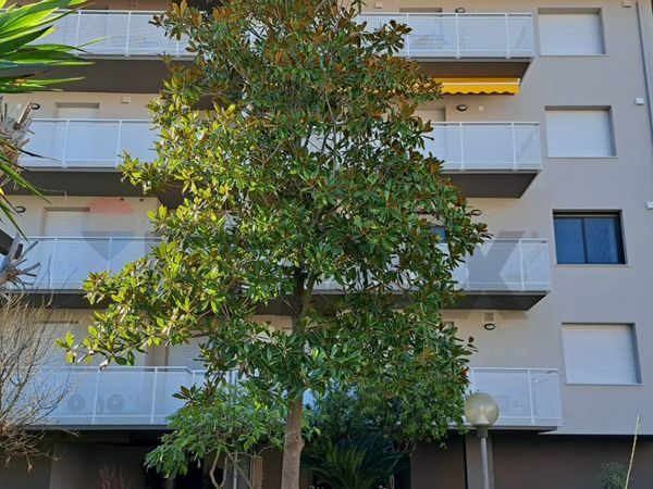 Appartamento Montesilvano Spiaggia, Montesilvano, PE Vendita