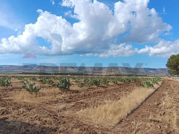 Terreno San Giovanni Rotondo, FG Vendita