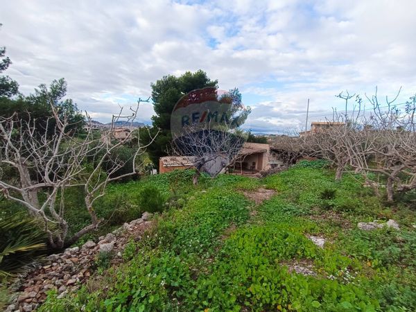 Rustico Favara, AG Vendita - Foto 2