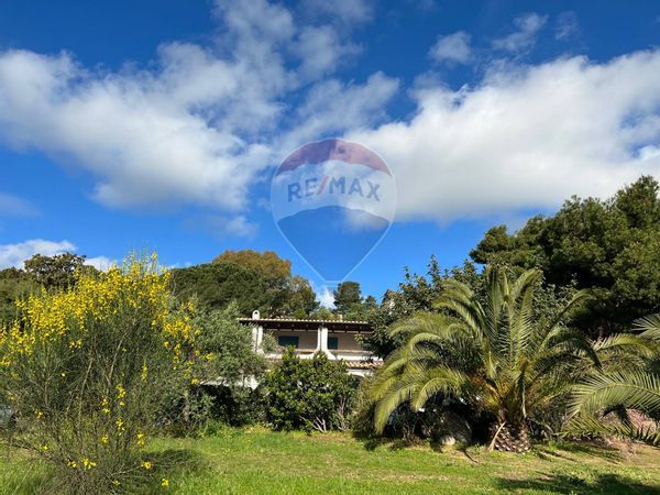 Villa singola Tertenia, NU Vendita - Foto 2