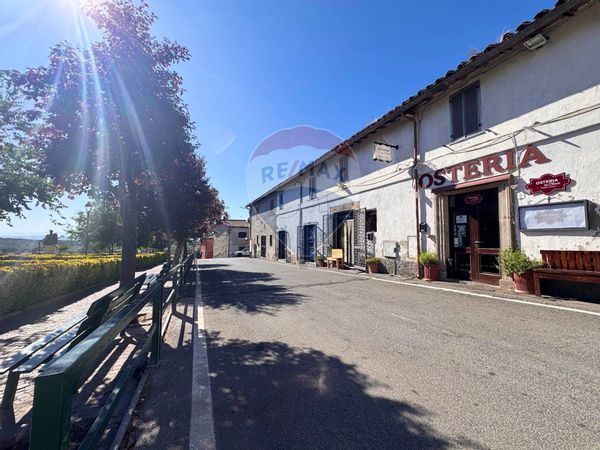 Locale Commerciale Manziana, RM Affitto - Foto 2