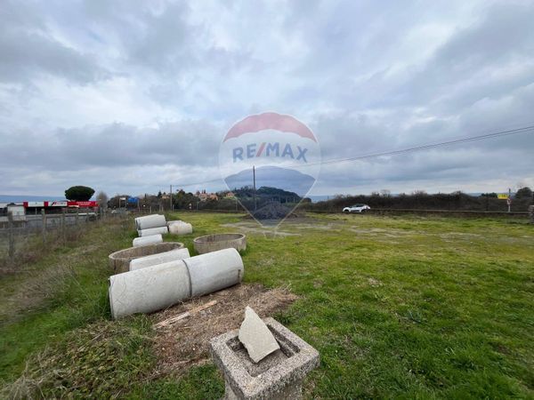 Terreno Edificabile Marta, VT Vendita - Foto 4