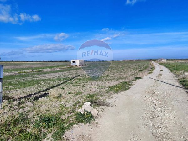 Terreno Segezia, Foggia, FG Vendita - Foto 4