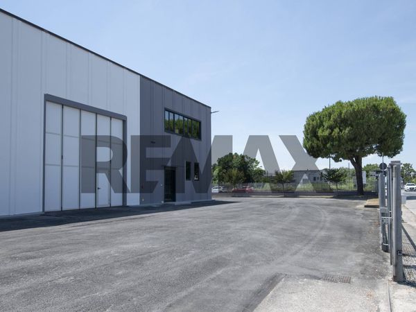 Capannone Industriale Falconara Marittima, AN Affitto - Foto 3