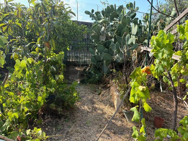 Appartamento Riposto, CT Vendita