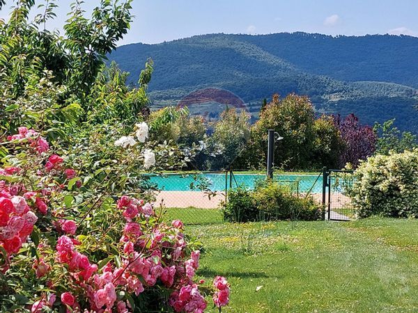 Agriturismo Palazzo del Pero, Arezzo, AR Vendita - Foto 2