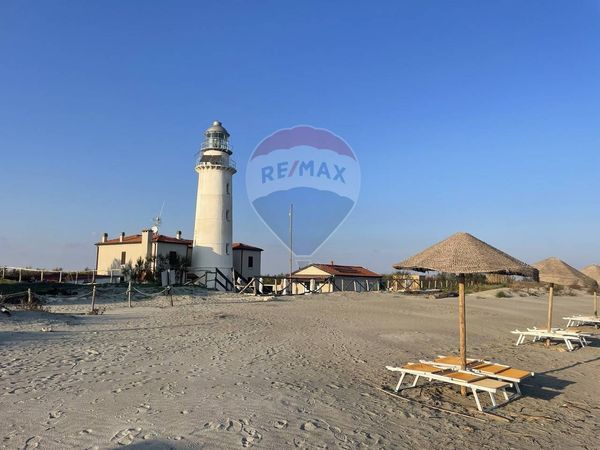 Attività  Commerciale Gorino, Goro, FE Vendita - Foto 2