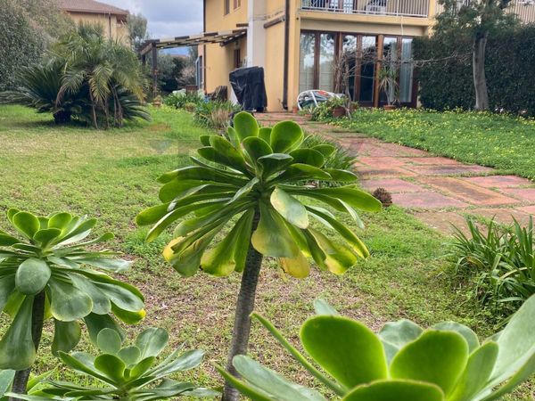 Villa o villino Santa Maria La Stella, Aci Sant'Antonio, CT Affitto