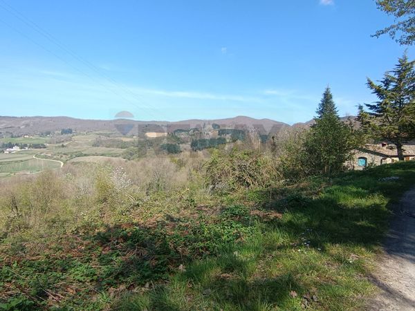 Terreno Borselli, Pelago, FI Vendita - Foto 2