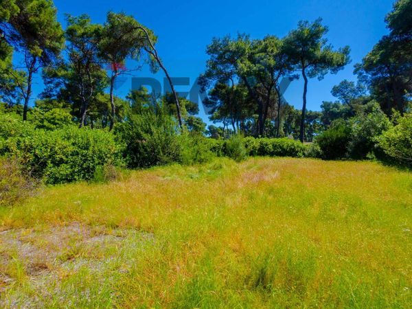 Villetta bifamiliare Castellaneta Marina, Castellaneta, TA Vendita - Foto 2