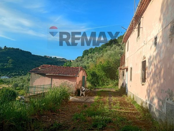Cascina/Casale Pieve a Nievole, PT Vendita - Foto 2