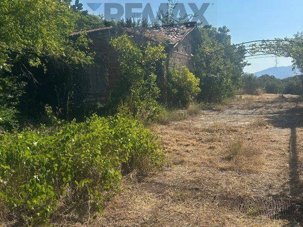 Villa o villino Velletri, RM Vendita - Foto 2