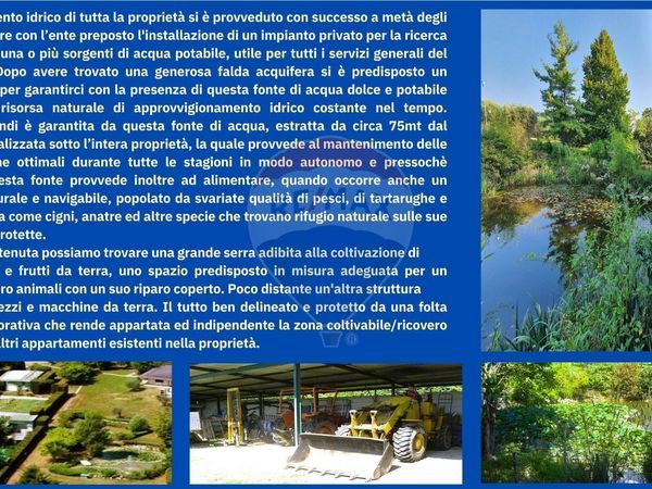 Villa singola Soiano del Lago, BS Vendita - Foto 4