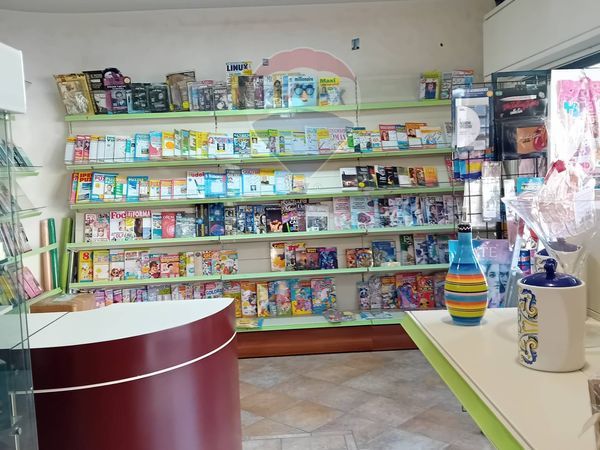 Casa Indipendente Castel di Iudica, CT Vendita - Foto 2