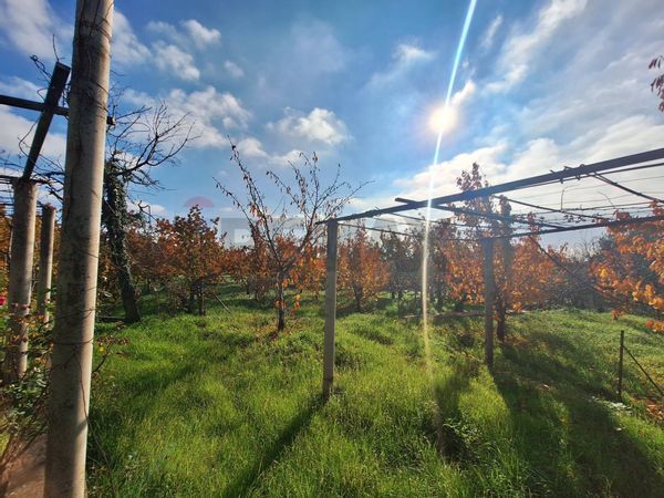 Porzione di villa Piedimonte Etneo, CT Vendita - Foto 3