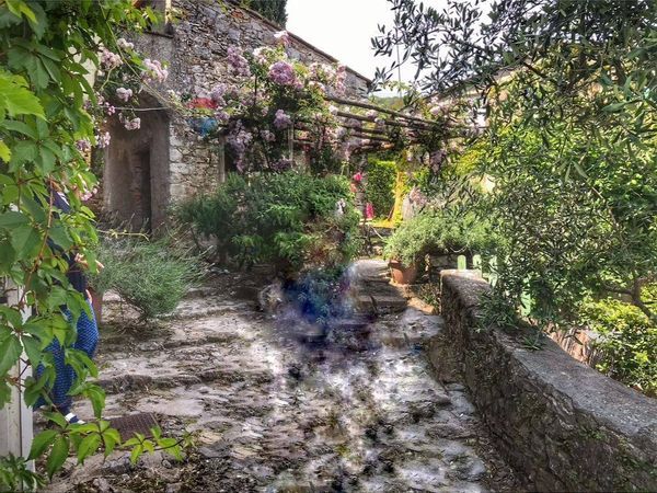Casa Semindipendente Camaiore, LU Vendita - Foto 3