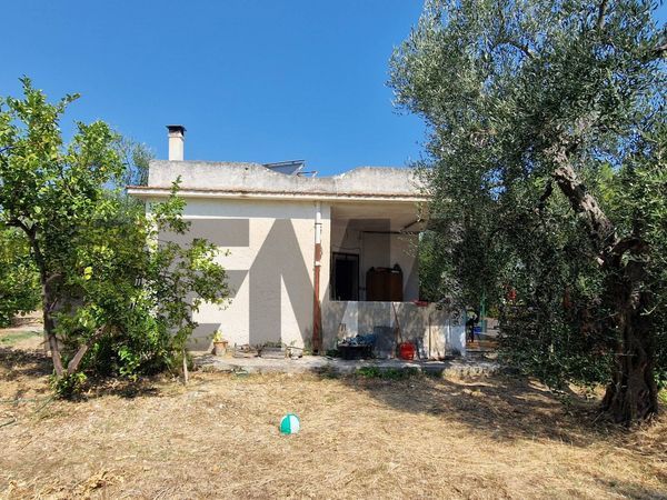 Villa o villino Vieste, FG Vendita - Foto 4