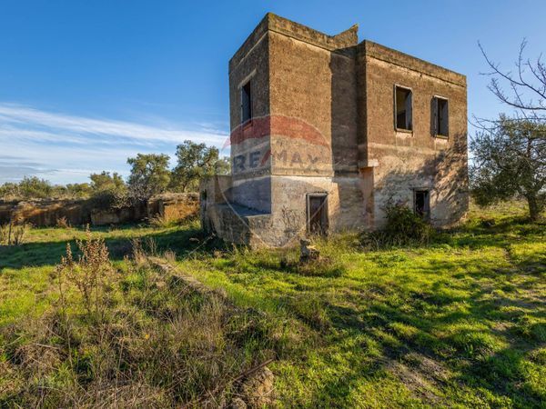 Cascina/Casale Trani, BT Vendita - Foto 4
