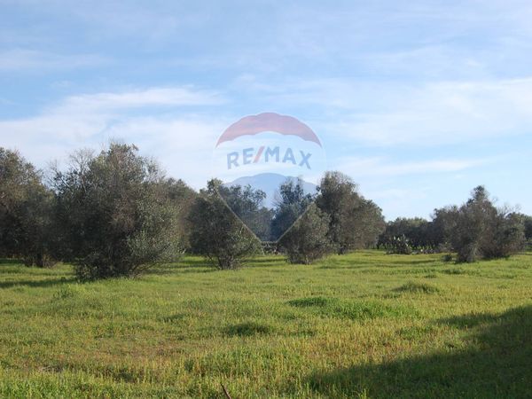 Casa Indipendente Porto Cesareo, LE Vendita - Foto 3