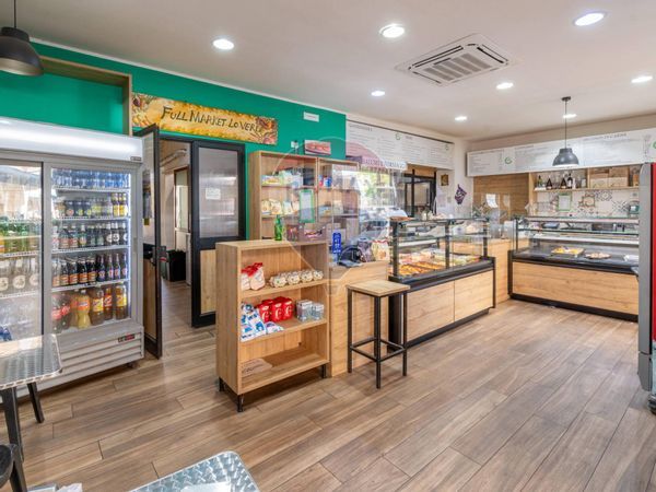 Attività  Commerciale Giotto, Galilei, Palagonia, Noce, Malaspina, Palermo, PA Affitto