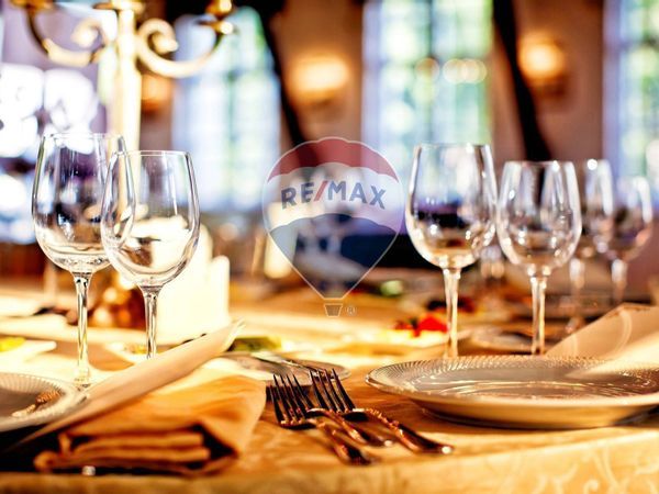 Attività  Commerciale Sovigliana - Spicchio, Vinci, FI Vendita - Foto 2