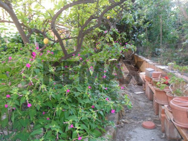 Casa Indipendente Pietraperzia, EN Vendita - Foto 3