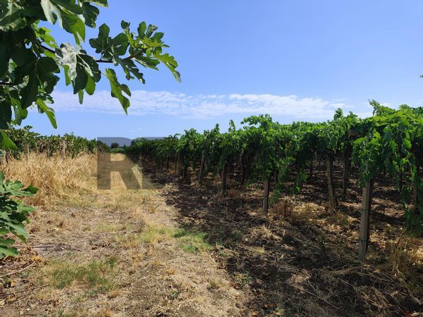 Rustico Pollutri, CH Vendita - Foto 2