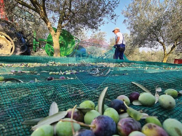 Terreno Marginone, Altopascio, LU Vendita