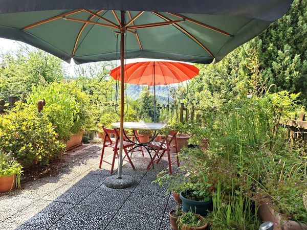 Casa Indipendente Cison di Valmarino, TV Vendita - Foto 4