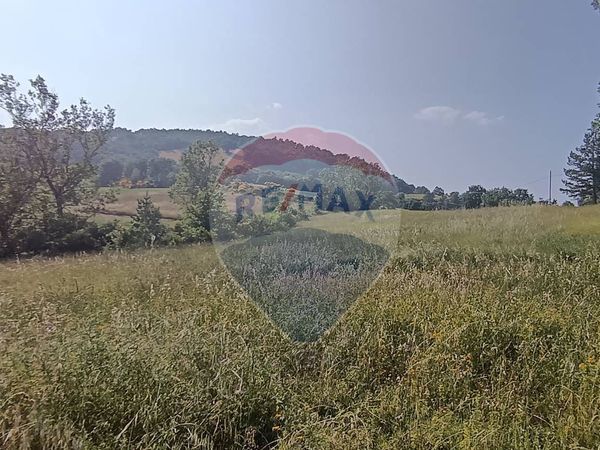 Terreno Edificabile Valfabbrica, PG Vendita - Foto 4