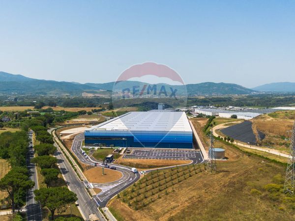 Capannone Industriale Colleferro, RM Affitto - Foto 4