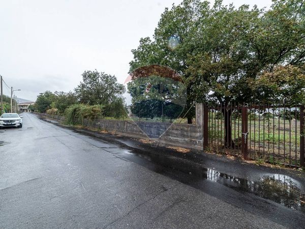 Terreno Montelaguardia, Randazzo, CT Vendita - Foto 4