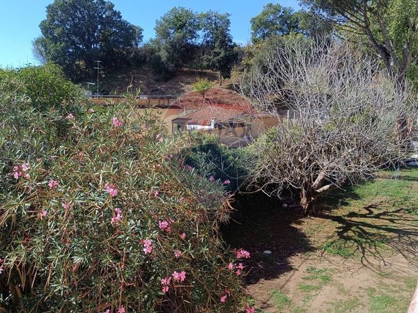 Villa singola Banditella, Ardea, RM Vendita - Foto 2