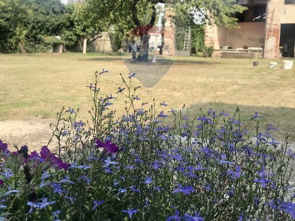 Cascina/Casale San Zenone al Po, PV Vendita - Foto 4
