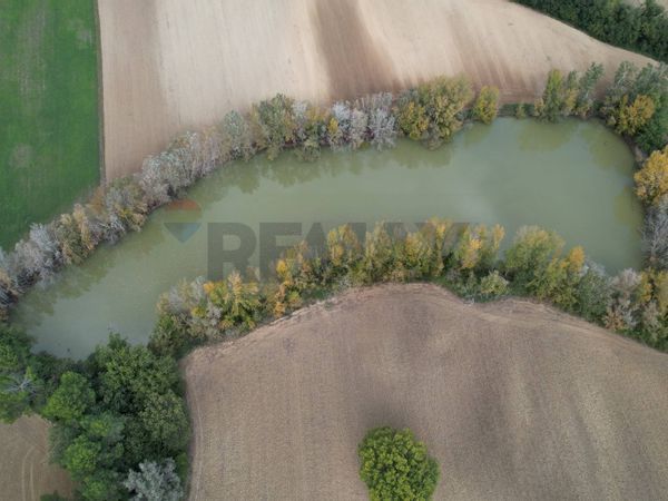 Azienda Agricola Torregrosso, Castel Ritaldi, PG Vendita - Foto 3