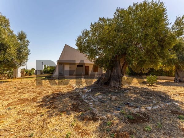 Villa o villino San Vito, Polignano a Mare, BA Vendita - Foto 2