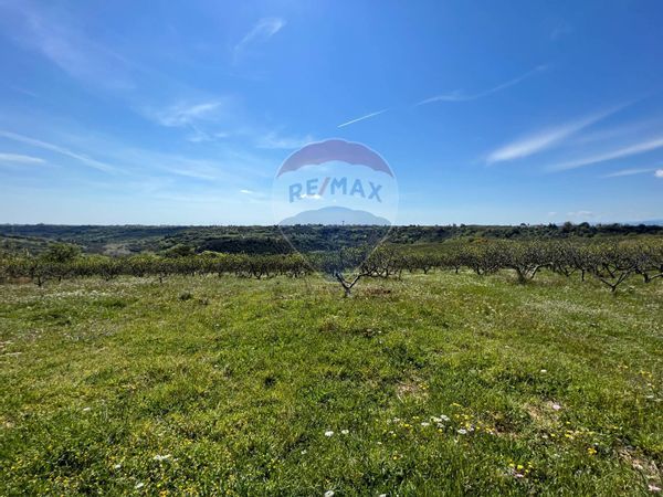 Terreno Pisticci, MT Vendita - Foto 4