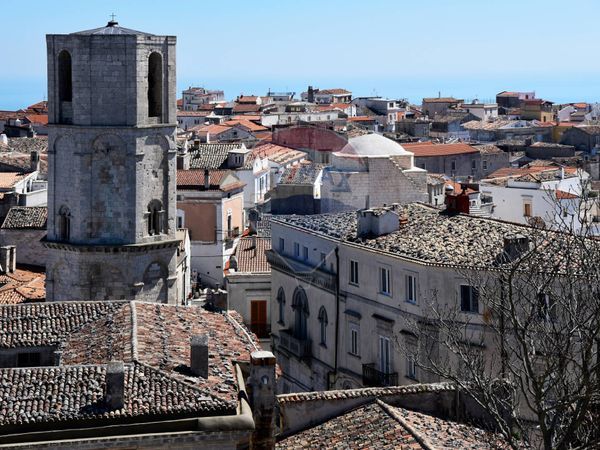 Commerciale Altro Monte Sant'Angelo, FG Vendita