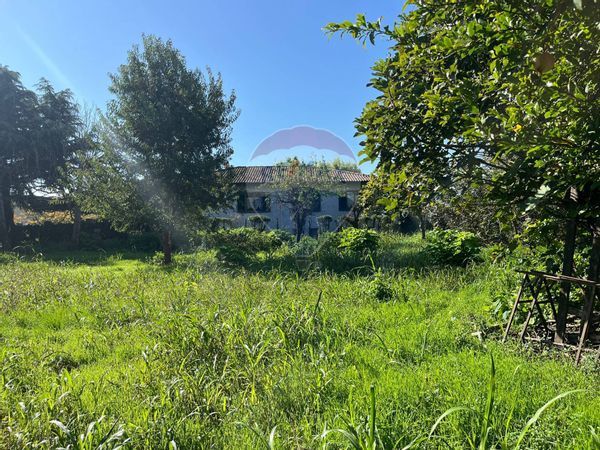 Terreno Edificabile Belgioioso, PV Vendita - Foto 3