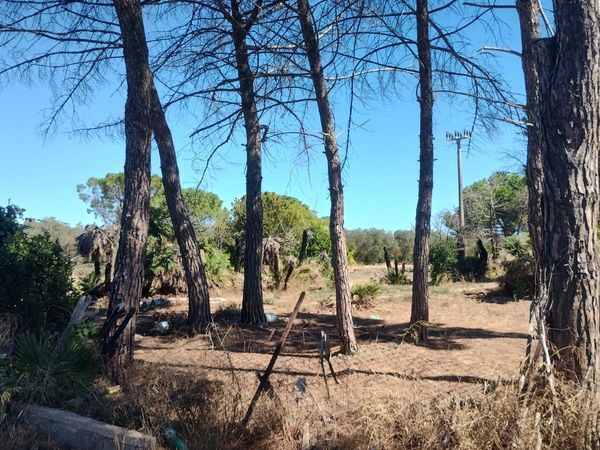 Terreno Barletta, BT Vendita - Foto 3