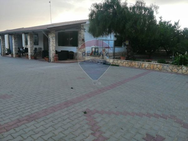 Azienda Agricola Caltagirone, CT Vendita - Foto 4