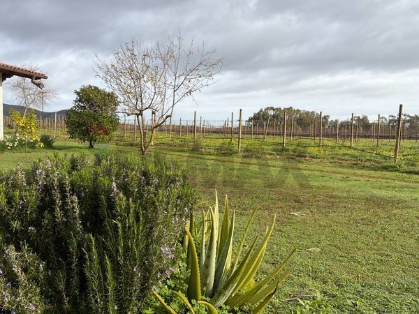 Casa Indipendente Periferia, Sassari, SS Vendita - Foto 4