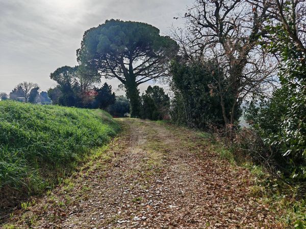 Cascina/Casale Recanati, MC Vendita