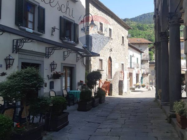 Albergo/Hotel Gavinana, San Marcello Piteglio, PT Vendita - Foto 2