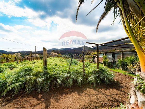 Cascina/Casale San Cesareo, RM Vendita - Foto 4