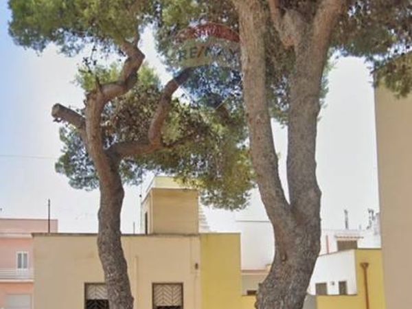 Appartamento Nardò, LE Vendita - Foto 3