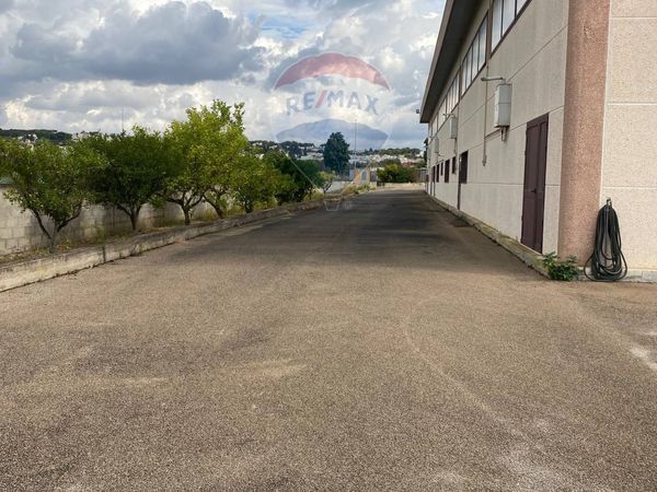 Capannone Industriale Tuglie, LE Vendita - Foto 2